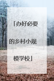 办好必要的乡村小规模学校